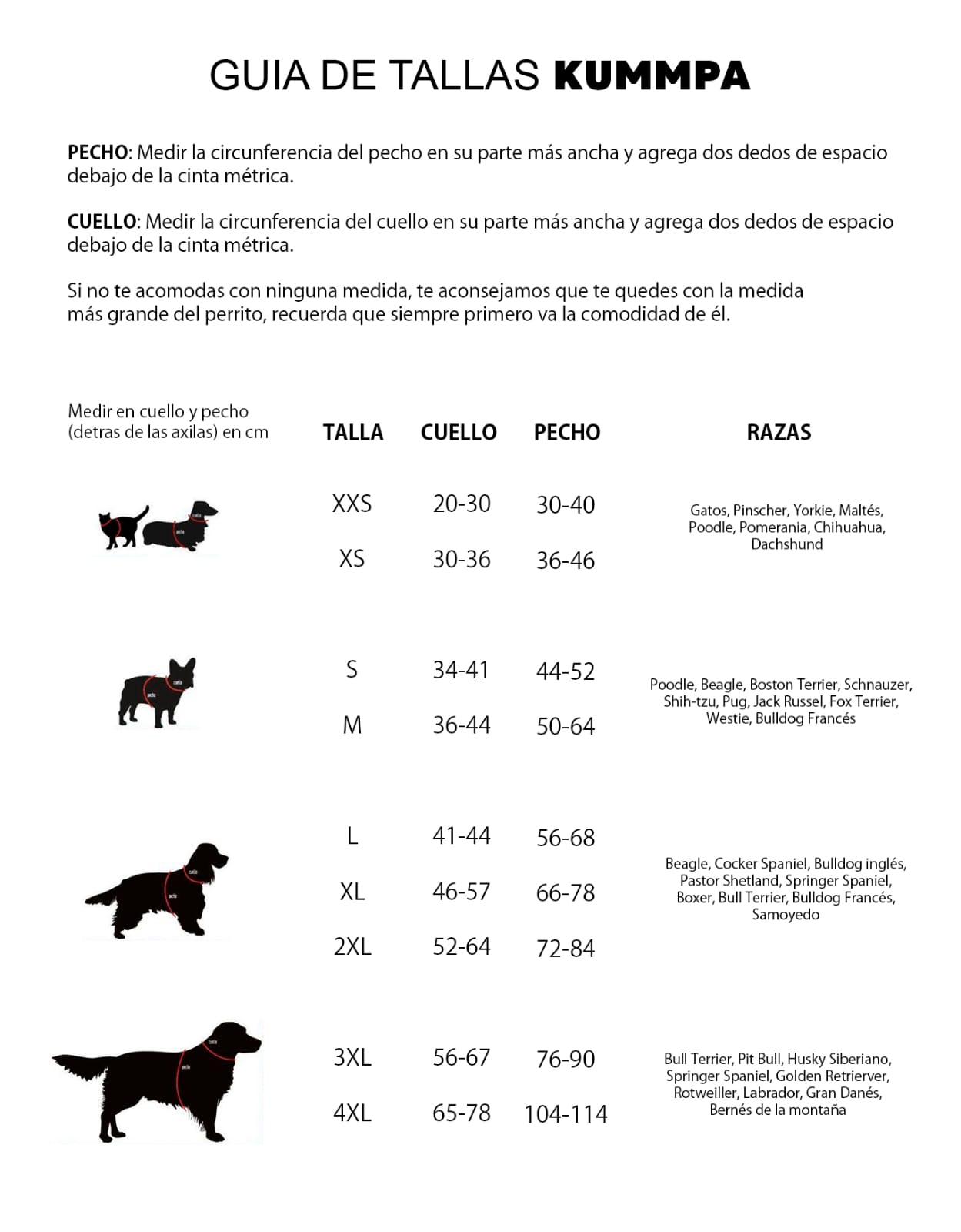 Sudadera estampada KUMMPA