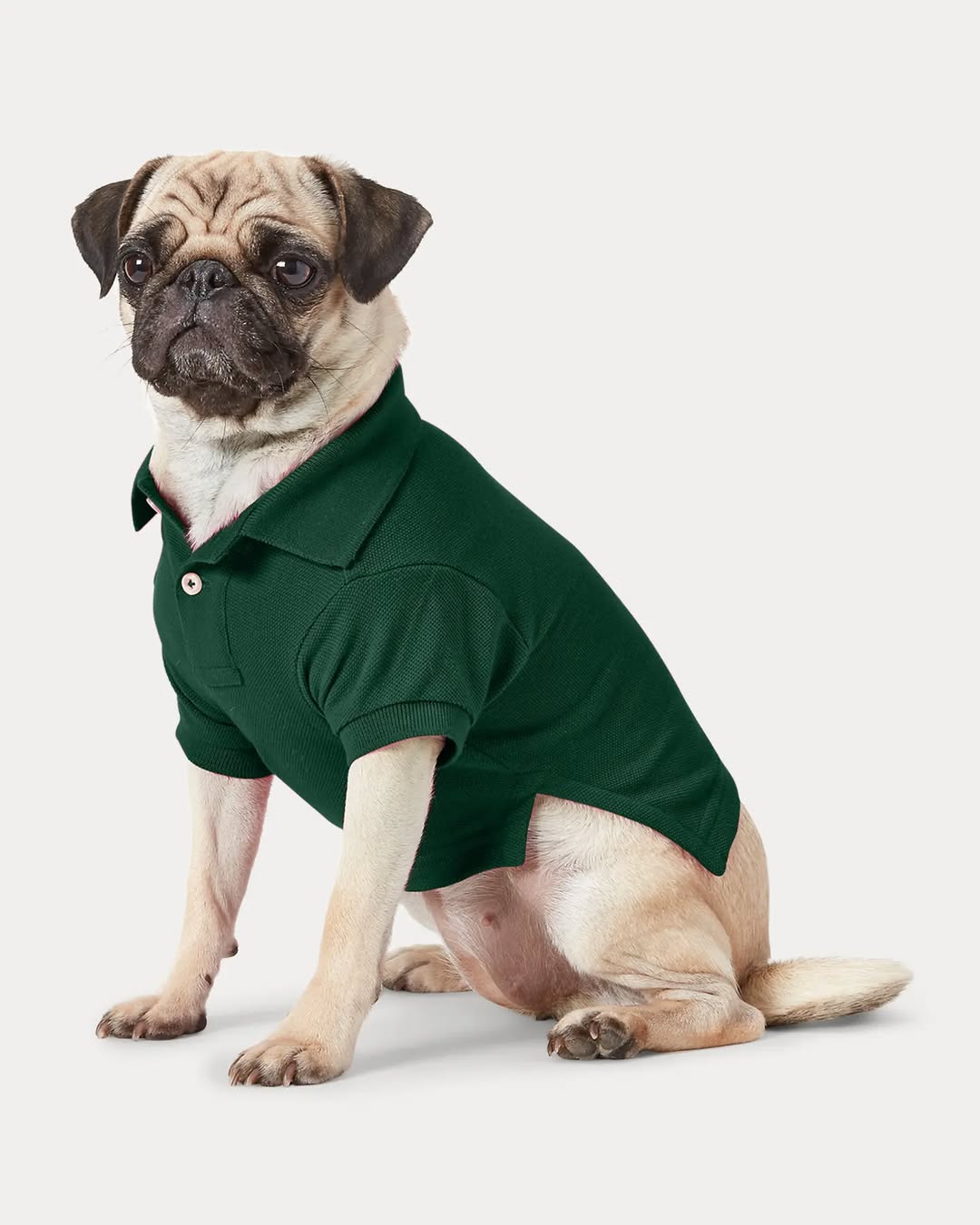 Camiseta polo KUMMPA