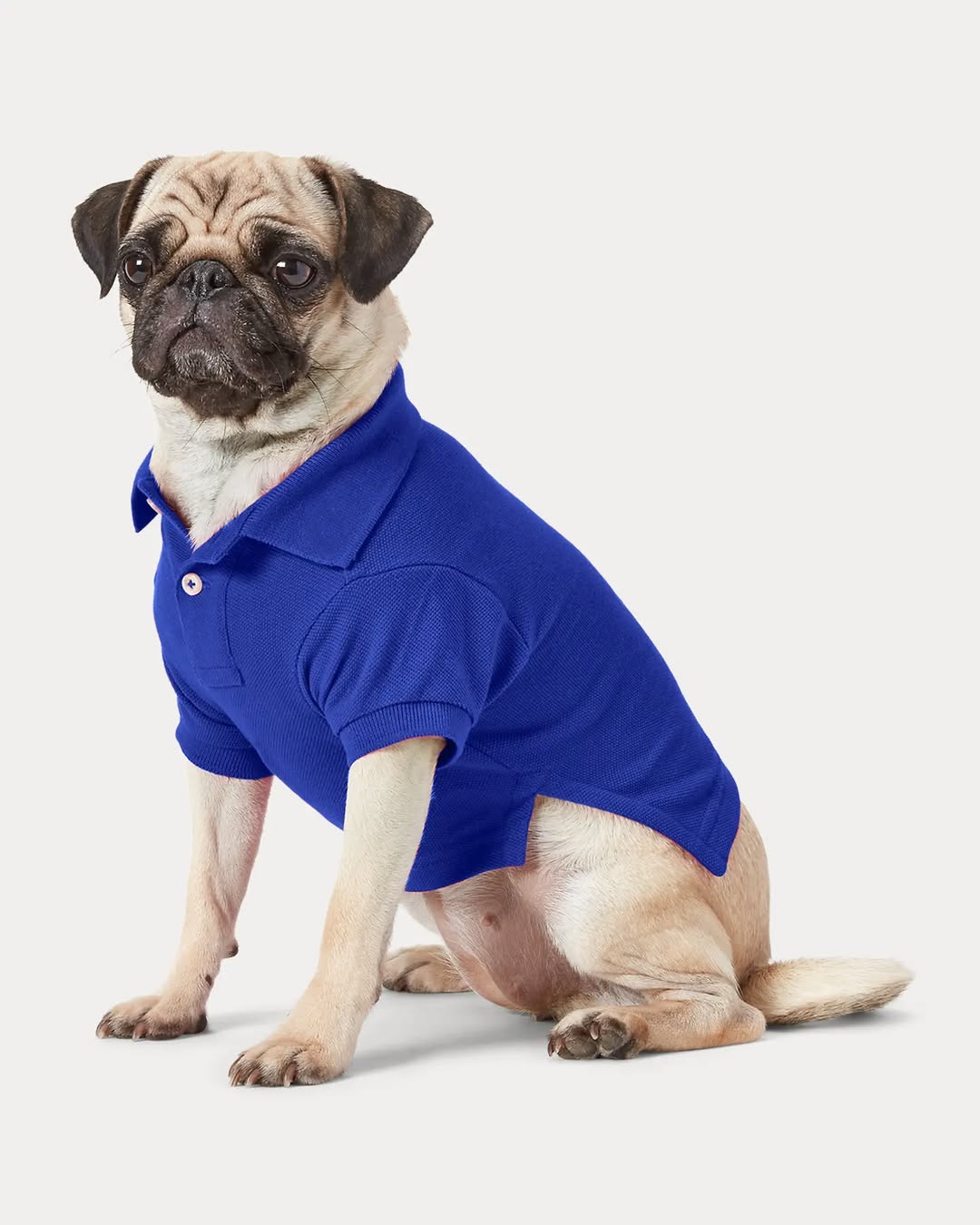 Camiseta polo KUMMPA