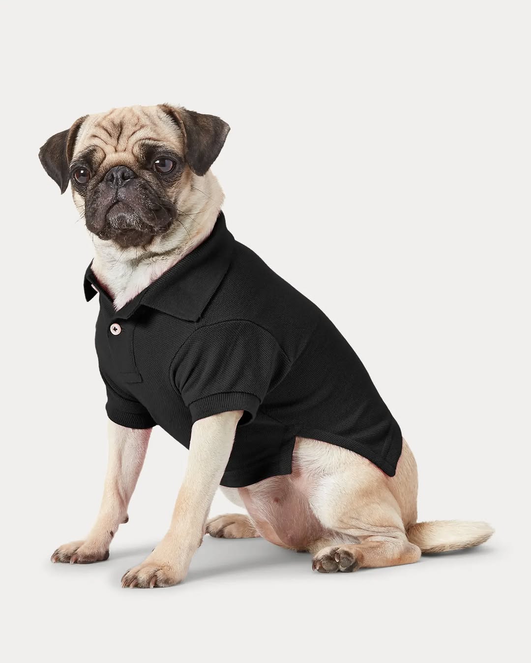 Camiseta polo KUMMPA