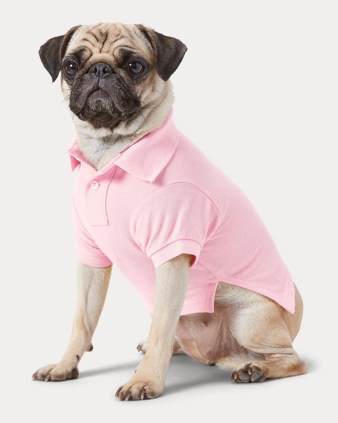 Camiseta polo KUMMPA