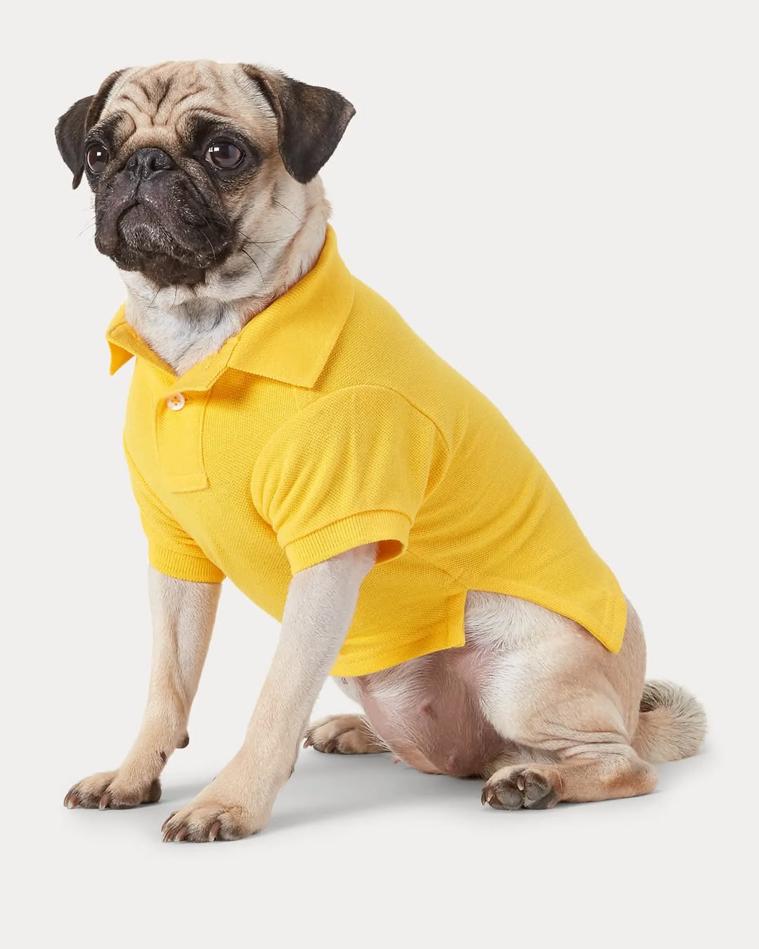 Camiseta polo KUMMPA