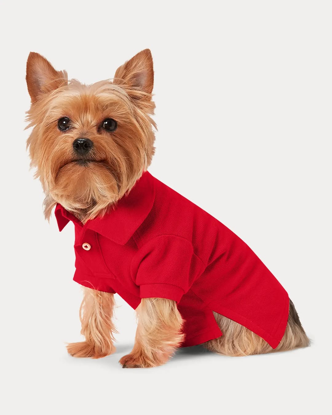 Camiseta polo KUMMPA