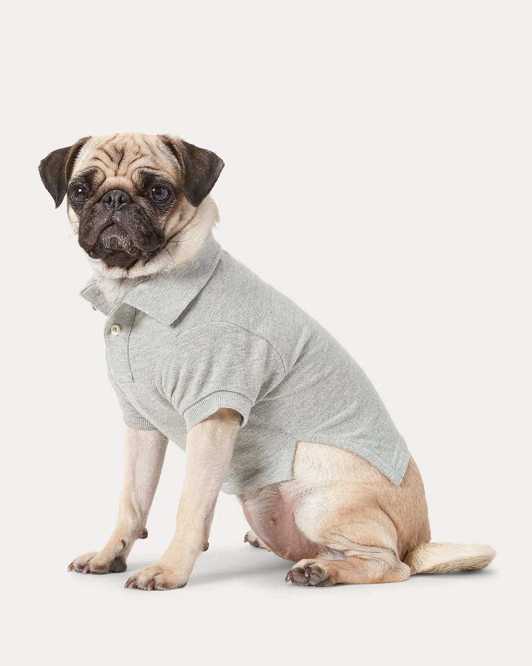 Camiseta polo KUMMPA